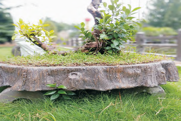 仿木护栏厂家